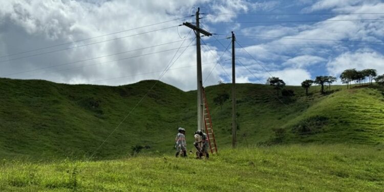 Eletrificação rural recebe investimentos 
