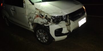 Atropelamento de animais na MGC-491 causa morte de bovino e danos em veículo