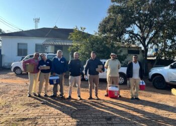 Caso de raiva em bovino leva autoridades a reforçar vacinação na zona rural de Alfenas