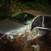 Motorista é preso por suspeita de embriaguez após colisão na MGC-491, em Monte Belo (MG)