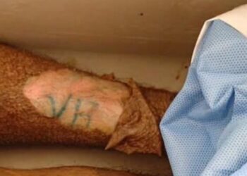 Homem encontrado morto em açude é sepultado como indigente em Alfenas