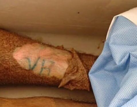 Homem encontrado morto em açude é sepultado como indigente em Alfenas