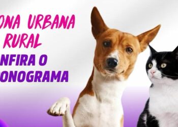 Vacinação antirrábica 2026 começa neste sábado em Carmo do Rio Claro; confira o cronograma da primeira etapa