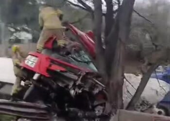 Motorista fica gravemente ferido após caminhão sair da pista e bater contra árvores na Fernão Dias, em Extrema