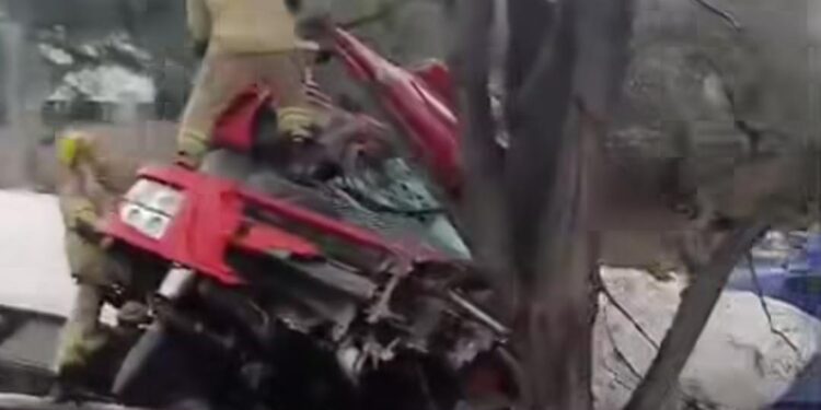 Motorista fica gravemente ferido após caminhão sair da pista e bater contra árvores na Fernão Dias, em Extrema