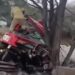 Motorista fica gravemente ferido após caminhão sair da pista e bater contra árvores na Fernão Dias, em Extrema