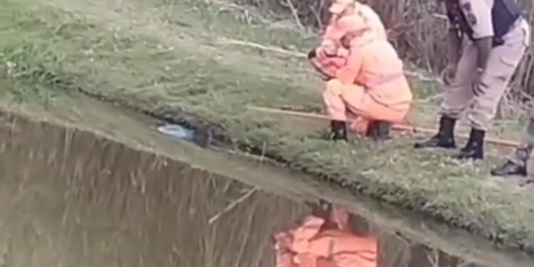 VÍDEO I URGENTE: Homem é encontrado morto em açude de Alfenas