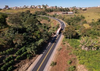 BR-146 terá intervenção para supressão de árvores em Guaxupé neste fim de semana