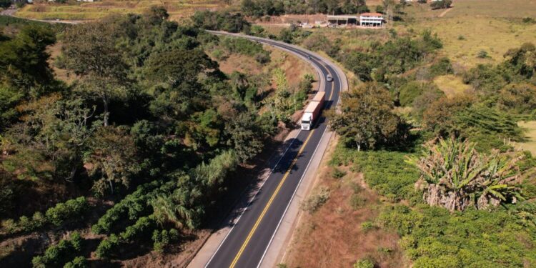 BR-146 terá intervenção para supressão de árvores em Guaxupé neste fim de semana