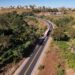 BR-146 terá intervenção para supressão de árvores em Guaxupé neste fim de semana