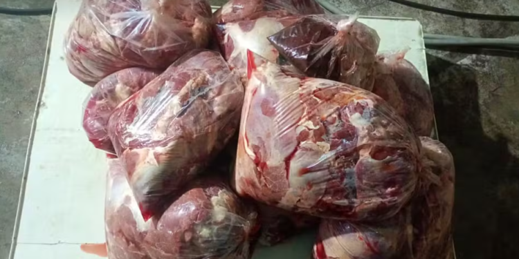 Polícia Civil prende dois homens e apreende mais de 165 quilos de carne em esquema de abate clandestino de cavalos em MG