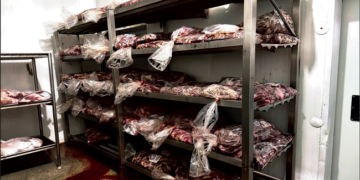 Empresa é multada em mais de R$ 35 mil após fiscalização apontar irregularidades em produtos cárneos