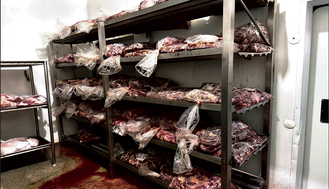 Empresa é multada em mais de R$ 35 mil após fiscalização apontar irregularidades em produtos cárneos