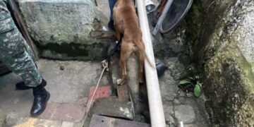 Duas mulheres são presas por maus-tratos a cães no Sul de Minas