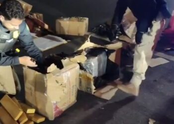 VÍDEO: Cerca de 239 quilos de maconha são apreendidos escondidos em mudança no Sul de Minas