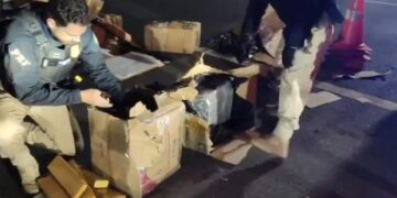 VÍDEO: Cerca de 239 quilos de maconha são apreendidos escondidos em mudança no Sul de Minas