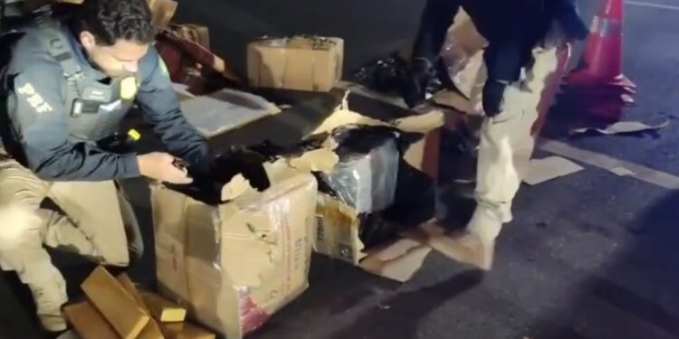 VÍDEO: Cerca de 239 quilos de maconha são apreendidos escondidos em mudança no Sul de Minas