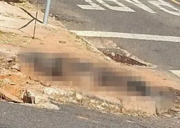 Cadela morre após ser queimada por homem em Passos; suspeito é preso com materiais usados no crime