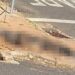 Cadela morre após ser queimada por homem em Passos; suspeito é preso com materiais usados no crime