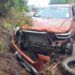 Jovem de 19 anos fica ferido após caminhonete capotar na MGC-267