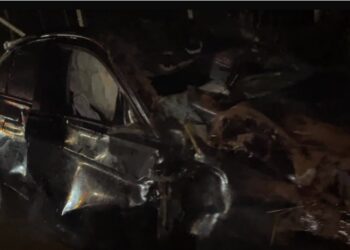 Colisão entre BMW e carro de boi deixa motorista ferido e quatro animais mortos na MG-290