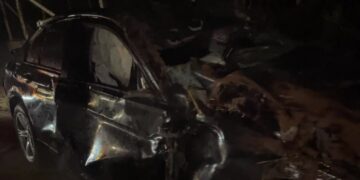 Colisão entre BMW e carro de boi deixa motorista ferido e quatro animais mortos na MG-290