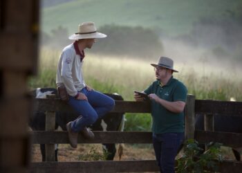 Sicoob Sarom fortalece o agronegócio e disponibiliza recursos do Plano Safra