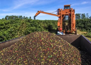 Guaxupé é a segunda maior exportadora de café do Brasil e reforça protagonismo do Sul de Minas no mercado internacional