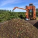 Guaxupé é a segunda maior exportadora de café do Brasil e reforça protagonismo do Sul de Minas no mercado internacional