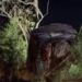 Motorista escapa ilesa após carro despencar em ribanceira na estrada