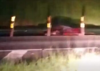 VÍDEO | Acidente grave envolvendo carro, cavalo e carreta mobiliza equipes em Paraguaçu