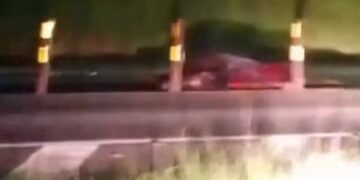 VÍDEO | Acidente grave envolvendo carro, cavalo e carreta mobiliza equipes em Paraguaçu