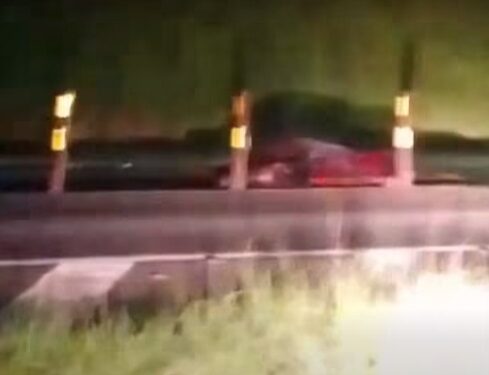VÍDEO | Acidente grave envolvendo carro, cavalo e carreta mobiliza equipes em Paraguaçu