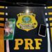 Abordagem da PRF na Fernão Dias termina com apreensão de drogas na casa de adolescente