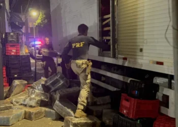 Operação apreende mais de 3 toneladas de maconha escondidas em caminhão em Bom Despacho (MG)