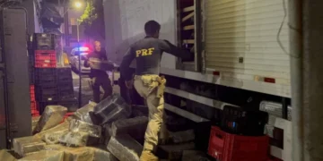 Operação apreende mais de 3 toneladas de maconha escondidas em caminhão em Bom Despacho (MG)