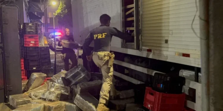 Operação apreende mais de 3 toneladas de maconha escondidas em caminhão em Bom Despacho (MG)