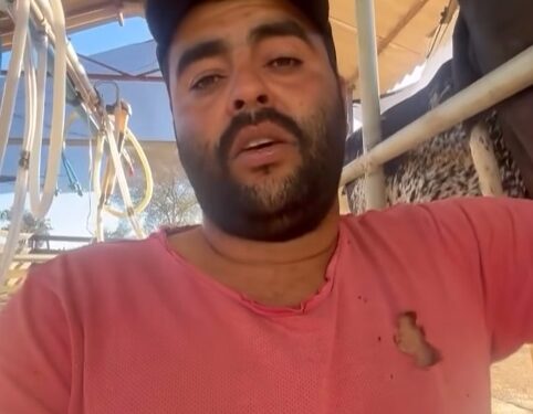 VÍDEO | Pequeno produtor de leite expõe desafios na comercialização e mobiliza debate nas redes sociais