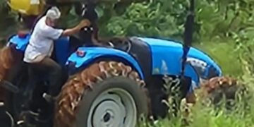 Trator agrícola é furtado de propriedade rural no Sul de Minas; família oferece recompensa por informações