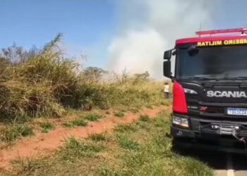 VÍDEO: Incêndio às margens de rodovia em Serrania mobiliza bombeiros por mais de quatro horas