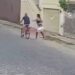 VÍDEO: Mulher é presa suspeita de matar idoso de 81 anos com faca