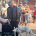 Carmo do Rio Claro realiza vacinação antirrábica neste sábado em dois bairros