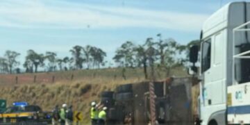 Homem morre após ser atingido por carga de madeira de carreta que tombou na BR-459
