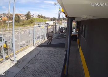 VÍDEO: Menino de 2 anos fica gravemente ferido após ataque de cachorro e é socorrido pela Polícia Militar Rodoviária