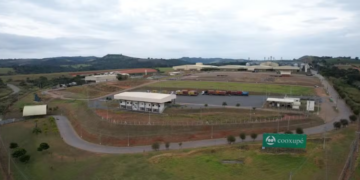 Cooxupé começa devolução de R$ 622 milhões a mais de 20 mil produtores após vitória judicial