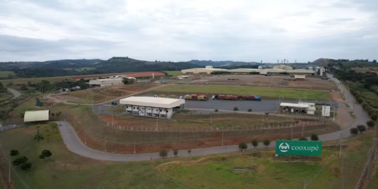 Cooxupé começa devolução de R$ 622 milhões a mais de 20 mil produtores após vitória judicial