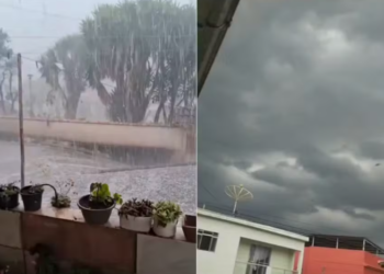 Chuva de granizo provoca queda de árvores durante temporal no Sul de Minas