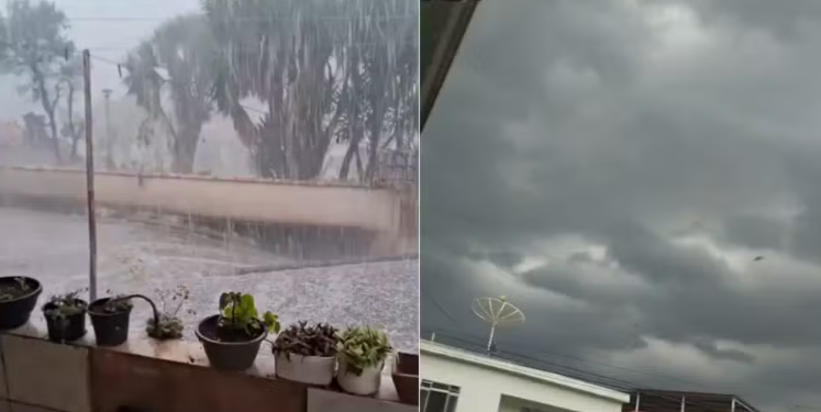 Chuva de granizo provoca queda de árvores durante temporal no Sul de Minas