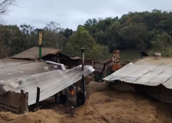 Incêndio destrói galpão e queima cerca de 40 sacas de café em propriedade rural