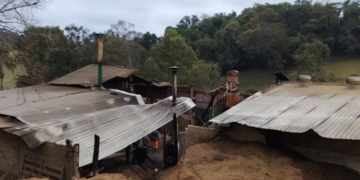 Incêndio destrói galpão e queima cerca de 40 sacas de café em propriedade rural